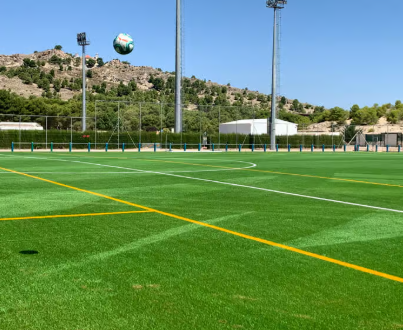 Miniatura de Cancha DEMO
